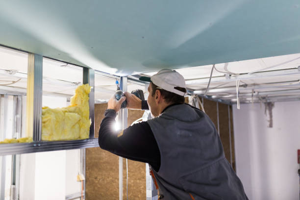 Best Spray Foam Insulation  in Penitas, TX